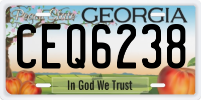GA license plate CEQ6238