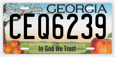 GA license plate CEQ6239