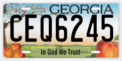 GA license plate CEQ6245