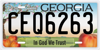 GA license plate CEQ6263