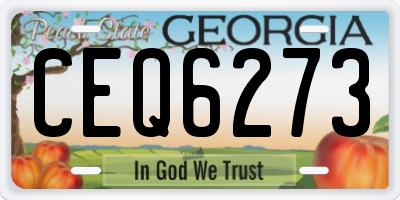 GA license plate CEQ6273