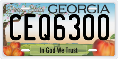 GA license plate CEQ6300