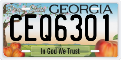 GA license plate CEQ6301