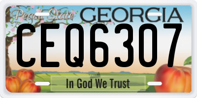 GA license plate CEQ6307