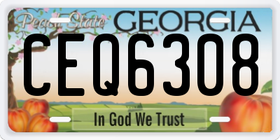 GA license plate CEQ6308