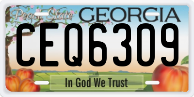 GA license plate CEQ6309