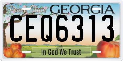 GA license plate CEQ6313
