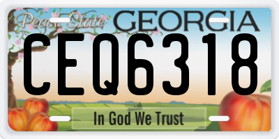 GA license plate CEQ6318