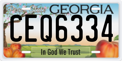 GA license plate CEQ6334