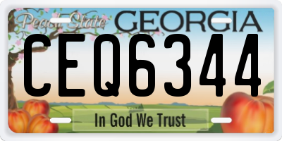 GA license plate CEQ6344