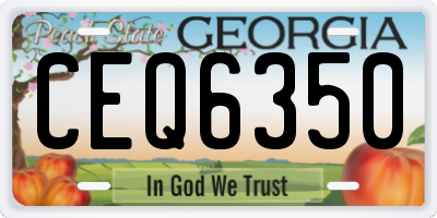 GA license plate CEQ6350