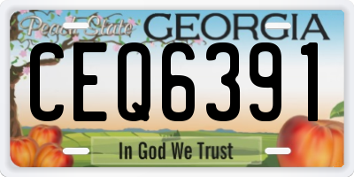 GA license plate CEQ6391