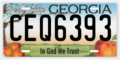 GA license plate CEQ6393