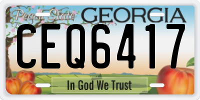 GA license plate CEQ6417