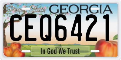 GA license plate CEQ6421