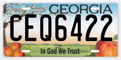 GA license plate CEQ6422