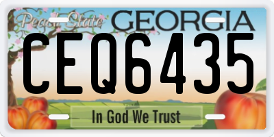 GA license plate CEQ6435
