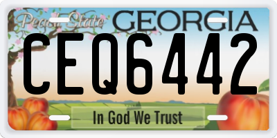 GA license plate CEQ6442