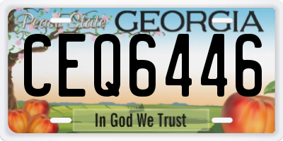 GA license plate CEQ6446