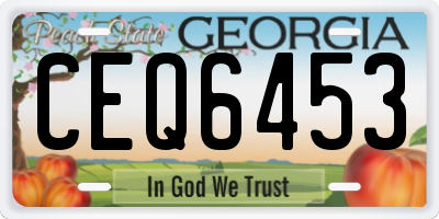 GA license plate CEQ6453