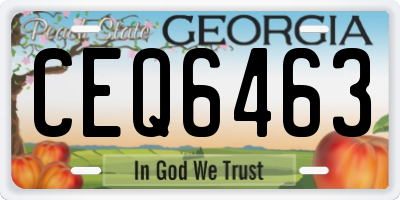 GA license plate CEQ6463