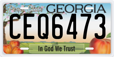 GA license plate CEQ6473
