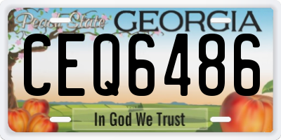 GA license plate CEQ6486