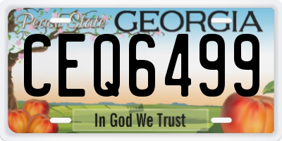 GA license plate CEQ6499