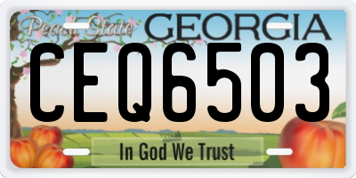 GA license plate CEQ6503
