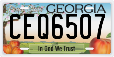 GA license plate CEQ6507