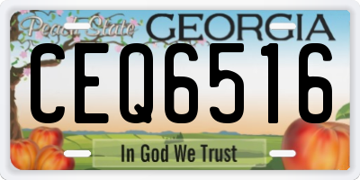 GA license plate CEQ6516