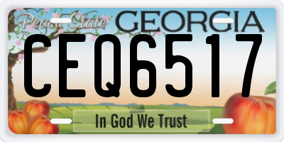GA license plate CEQ6517