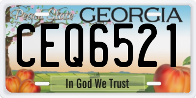GA license plate CEQ6521