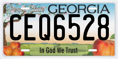 GA license plate CEQ6528