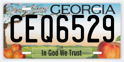 GA license plate CEQ6529