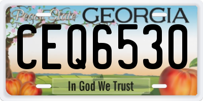 GA license plate CEQ6530