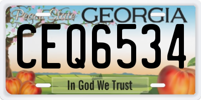 GA license plate CEQ6534