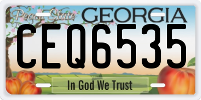 GA license plate CEQ6535