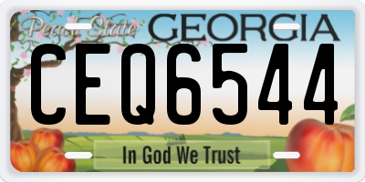 GA license plate CEQ6544