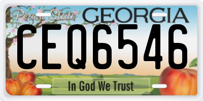 GA license plate CEQ6546