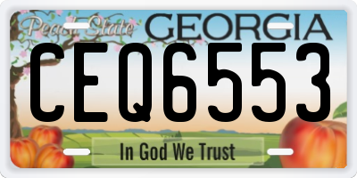 GA license plate CEQ6553