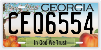 GA license plate CEQ6554