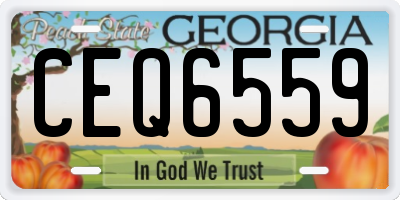 GA license plate CEQ6559