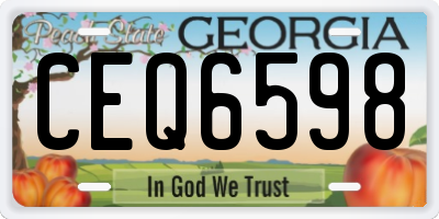 GA license plate CEQ6598