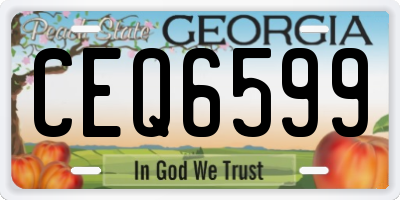 GA license plate CEQ6599