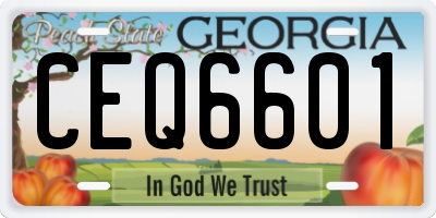 GA license plate CEQ6601