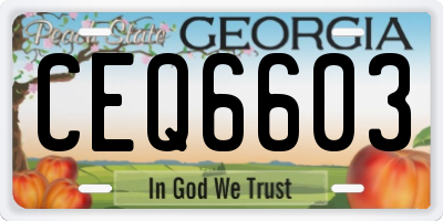 GA license plate CEQ6603