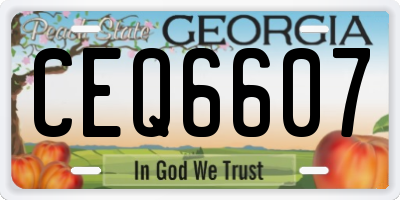 GA license plate CEQ6607