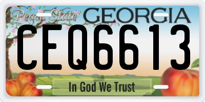 GA license plate CEQ6613