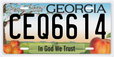 GA license plate CEQ6614